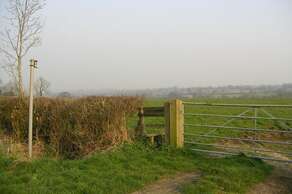 Local Area